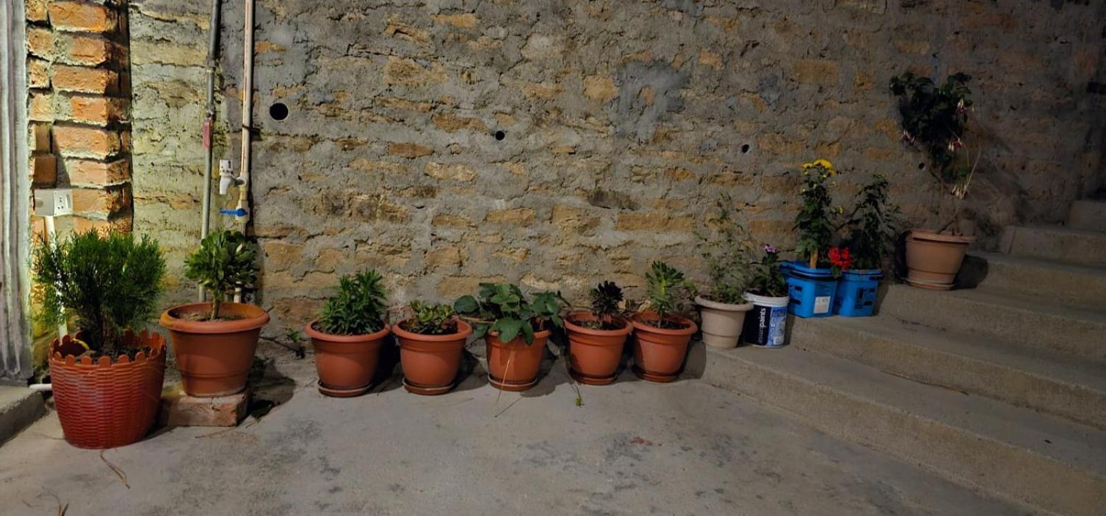 Golden Himalaya Homestay Kausani Extérieur photo